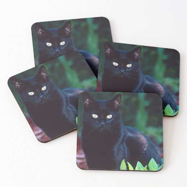 Item preview, Ebony Posing (finally) designed and sold by Bill Spengler's Photographic Thoughts.