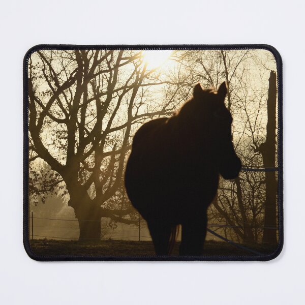 Item preview, Misty Morning Horse (Photography: Unfiltered) designed and sold by Lori Ackley.