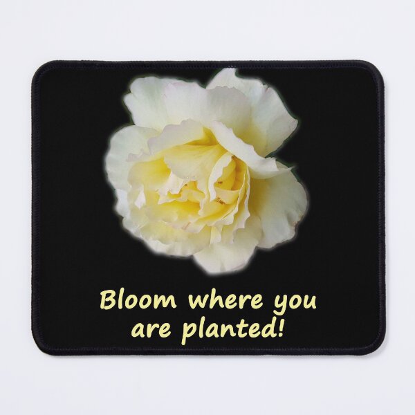 Item preview, Yellow Flower (Photography: Unfiltered) designed and sold by Lori Ackley.