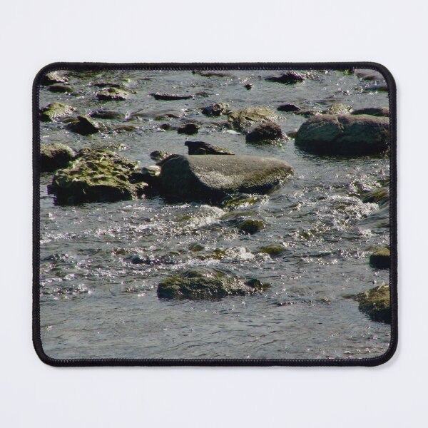 Item preview, Sparkling waters designed and sold by Shulie1.