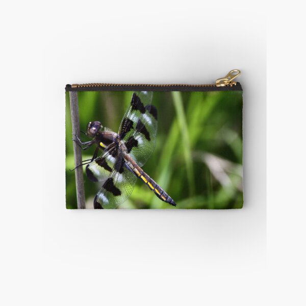 Item preview, Male Twelve-Spot Skimmer Dragonfly designed and sold by John Absher.