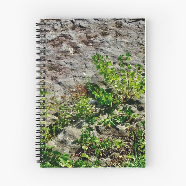 Item preview, Weeds growing on the former bed of the Rideau River designed and sold by Shulie1.