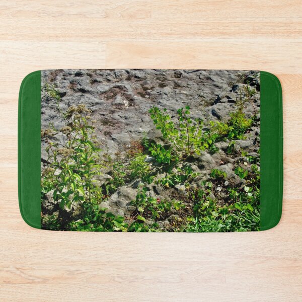 Item preview, Weeds growing on the former bed of the Rideau River designed and sold by Shulie1.
