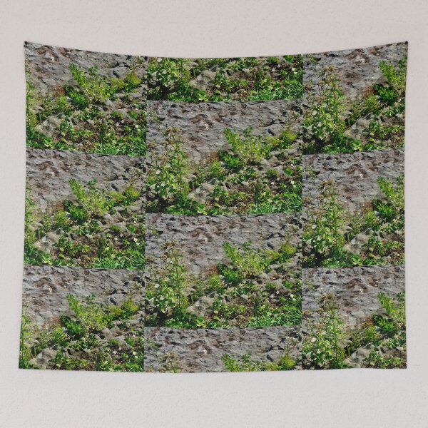 Item preview, Weeds growing on the former bed of the Rideau River designed and sold by Shulie1.