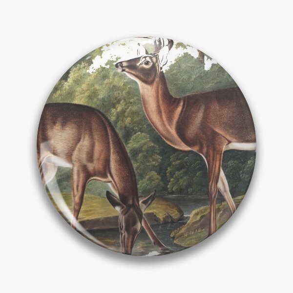 Item preview, Virginian Deer from the viviparous quadrupeds of North America  designed and sold by JOY STORE 45.