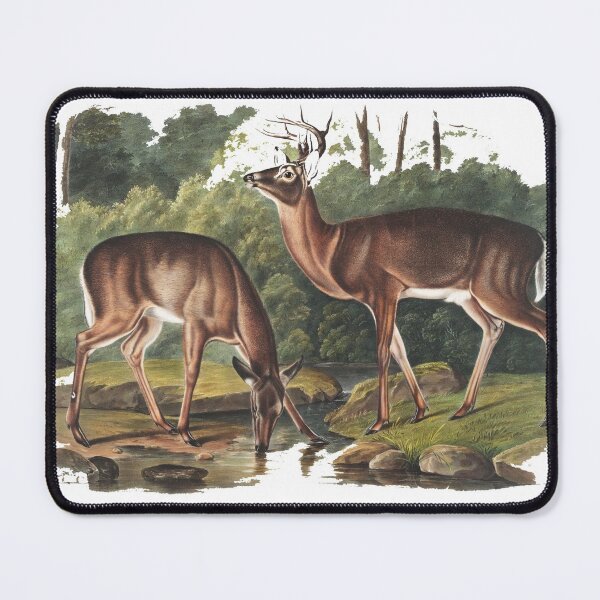 Item preview, Virginian Deer from the viviparous quadrupeds of North America  designed and sold by JOY STORE 45.