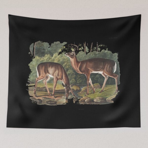Item preview, Virginian Deer from the viviparous quadrupeds of North America  designed and sold by JOY STORE 45.