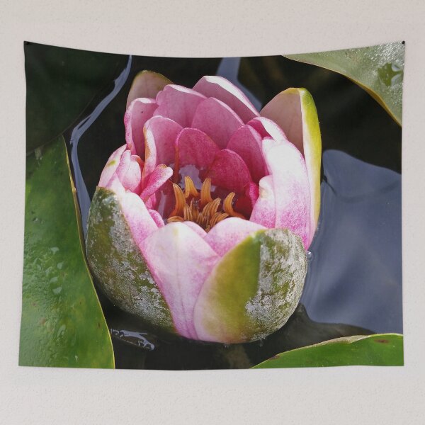Item preview, Water Lily Bud (Photography: Unfiltered) designed and sold by Lori Ackley.