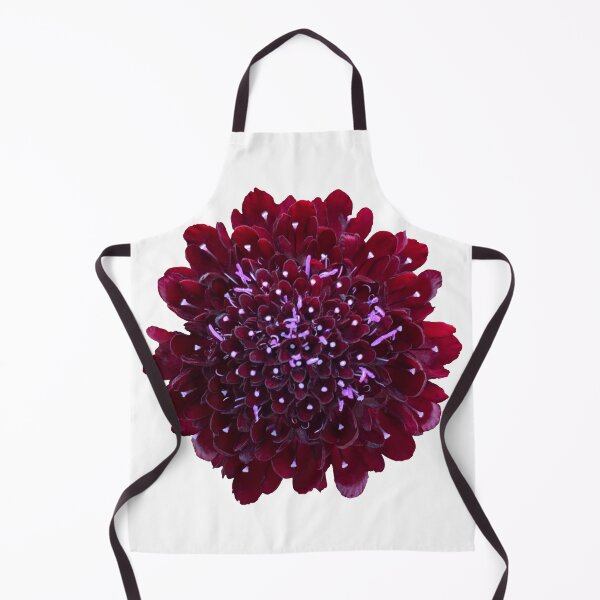 Item preview, Black Scabious Flower Still Life Floral Photography designed and sold by CottoVerdi.