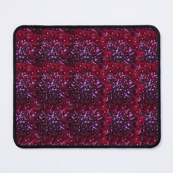 Item preview, Black Scabious Flower Still Life Floral Photography designed and sold by CottoVerdi.