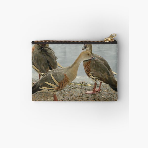Item preview, A Trio of Ducks designed and sold by stevealder.