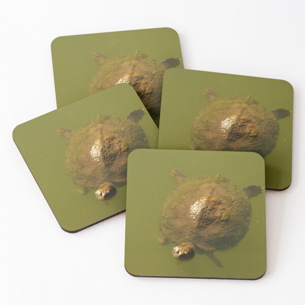 Item preview, Turtle at the Brooklyn Botanical Garden designed and sold by leeslayyy.