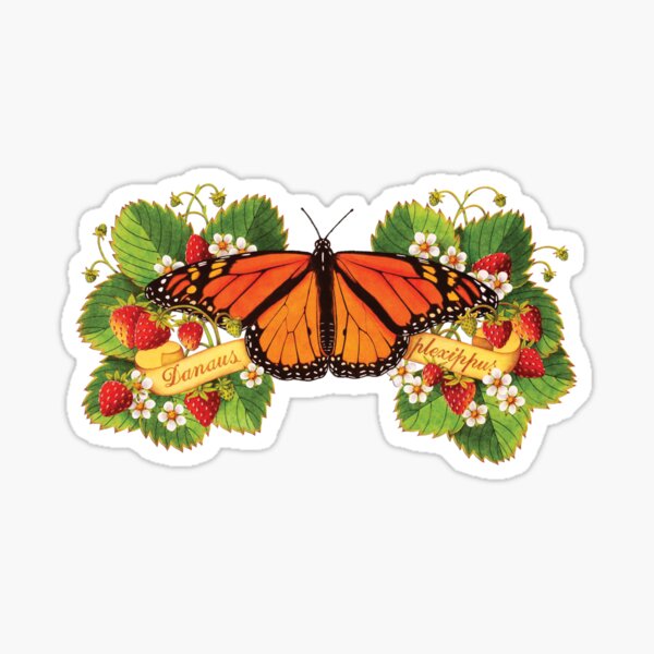 Monarch Butterfly with Strawberries Sticker