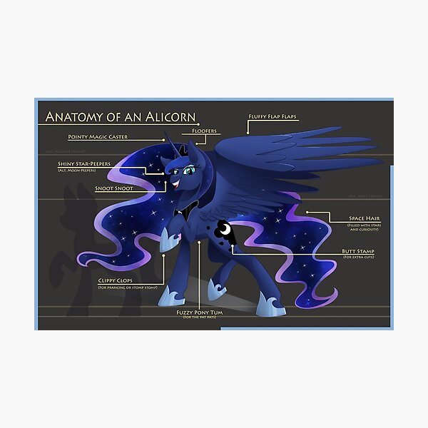 Anatomy of an Alicorn Photographic Print