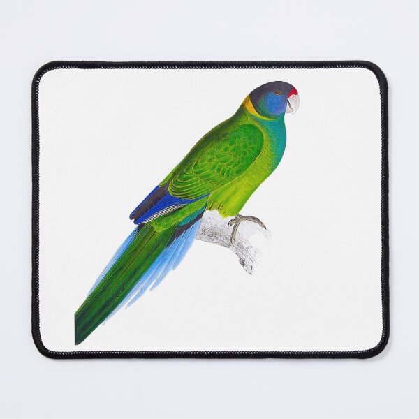Item preview, Australian ringneck parrot designed and sold by paulocampos.
