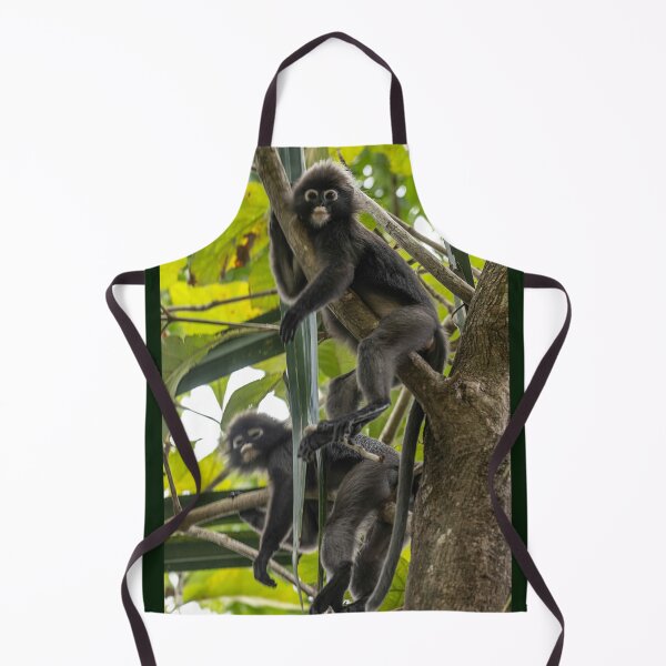 Item preview, Dusky Leaf Langur resting at Penang Hill Biosphere Reserve designed and sold by David ST Loh Images.