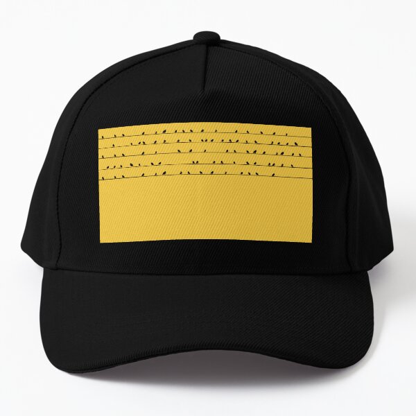 birds Baseball Cap