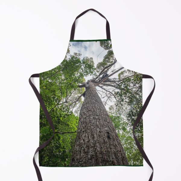 Item preview, A giant Meranti tree at the Penang Hill UNESCO Biosphere Reserve designed and sold by David ST Loh Images.