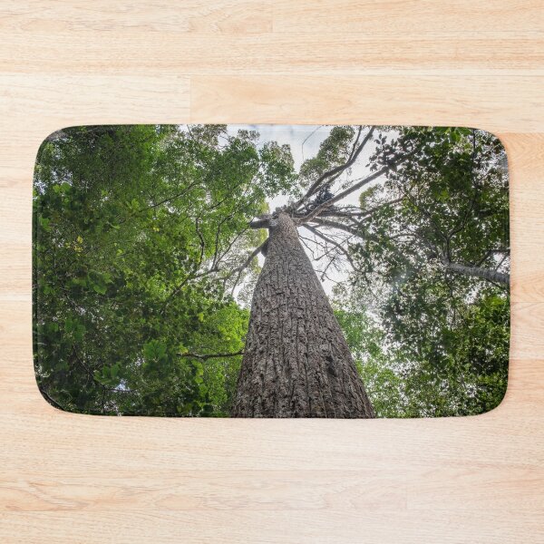 Item preview, A giant Meranti tree at the Penang Hill UNESCO Biosphere Reserve designed and sold by David ST Loh Images.