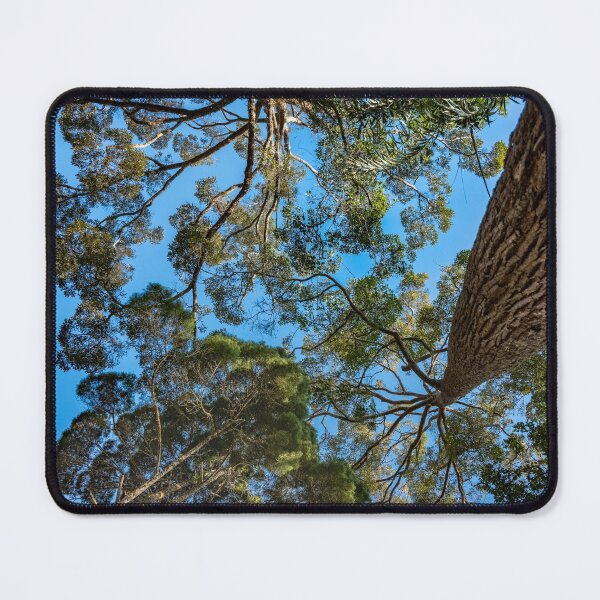 Item preview, Trees at the Penang Hill Biosphere Reserve designed and sold by David ST Loh Images.