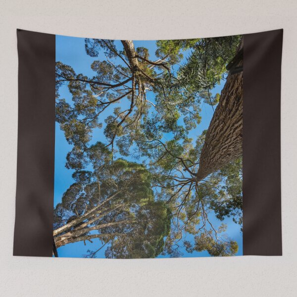 Item preview, Trees at the Penang Hill Biosphere Reserve designed and sold by David ST Loh Images.