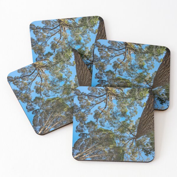 Item preview, Trees at the Penang Hill Biosphere Reserve designed and sold by David ST Loh Images.