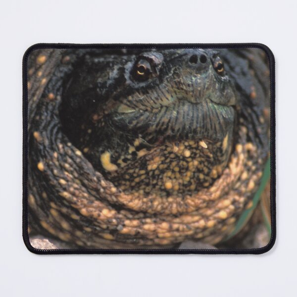 Item preview, A Snapping Turtle designed and sold by Bill Spengler's Photographic Thoughts.