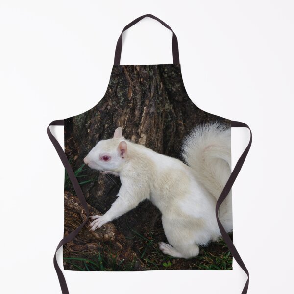 Item preview, Albino Squirrel designed and sold by billduncan.