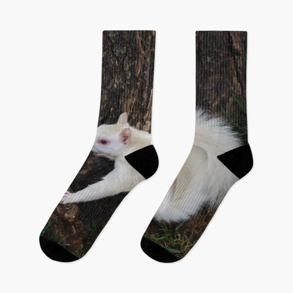 Item preview, Albino Squirrel  designed and sold by billduncan.
