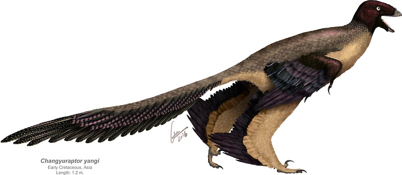 Changu Raptor