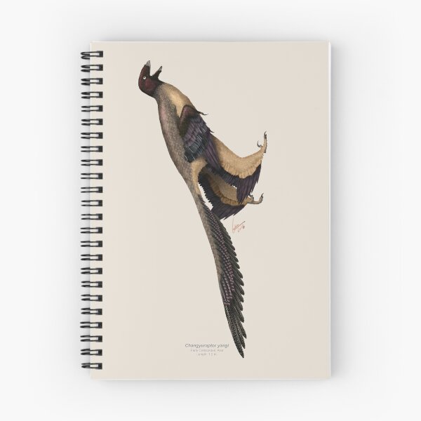 Item preview, Changyuraptor yangi designed and sold by SerpenIllus.