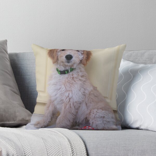 Item preview, Henry designed and sold by Christine  Wilson Photos.