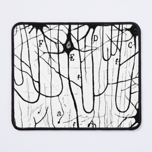 Item preview, Neuron Pyramidal Cells Drawing by Santiago Ramon Y Cajal designed and sold by ScienceSource.