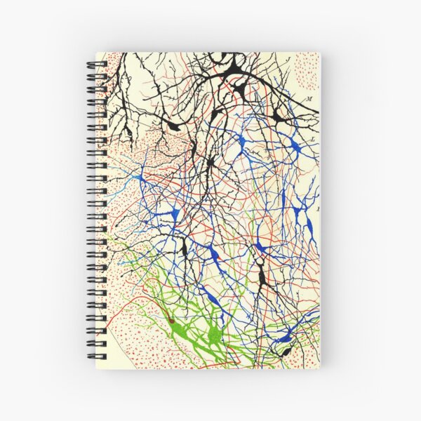 Item preview, Santiago Ramón y Cajal Nerve Cells designed and sold by ScienceSource.