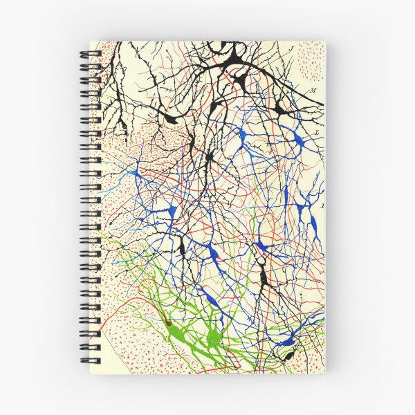 Item preview, Santiago Ramón y Cajal Nerve Cells designed and sold by ScienceSource.