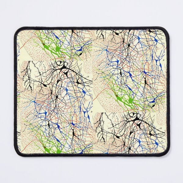 Item preview, Santiago Ramón y Cajal Nerve Cells designed and sold by ScienceSource.