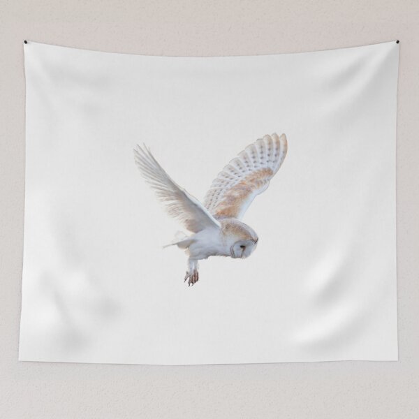 Item preview, White Flying Owl designed and sold by BraveNewDesigns.
