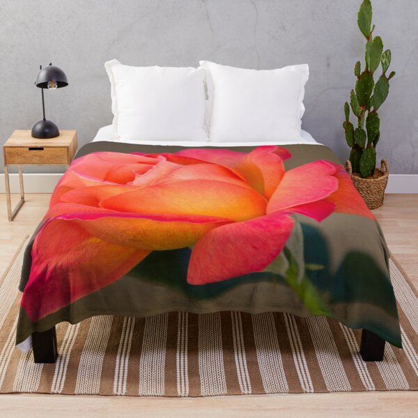 Item preview, Gorgeous Salmon Pink Rose designed and sold by cabgodfrey.