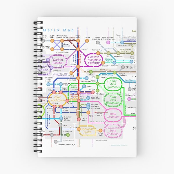 Item preview, metabolic metro map biochemistry pathway designed and sold by kdierksart.