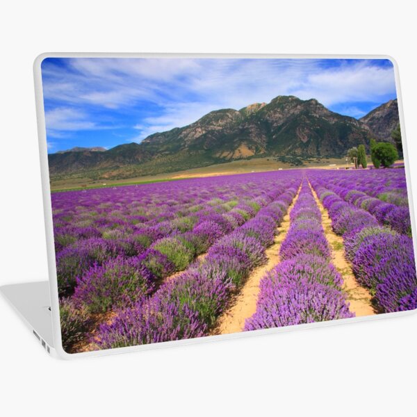 Lavender Fields Laptop Skin