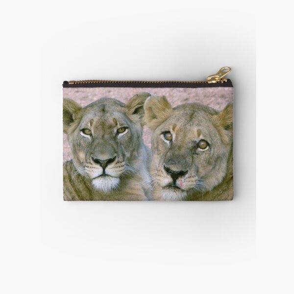 Item preview, Copy-Cats designed and sold by Carisma.