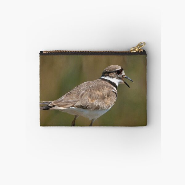 Item preview, A Killdeer designed and sold by David Friederich.