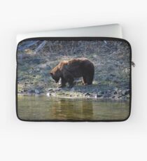 "Cinnamon" Black Bear - Reflection Laptop Sleeve