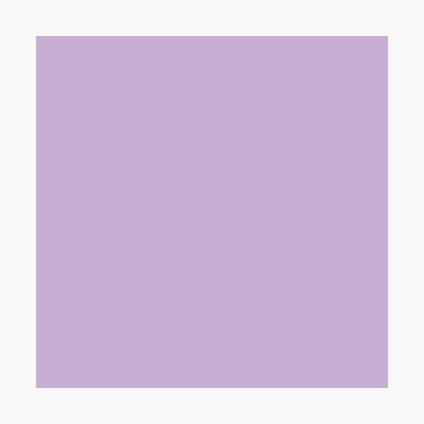 Just Color Plain Light Purple: Orchid Bloom (pastel purple