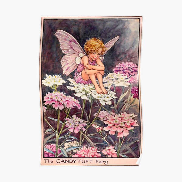 “The Candytuft Fairy” by Cicely Mary Barker (1922) Poster