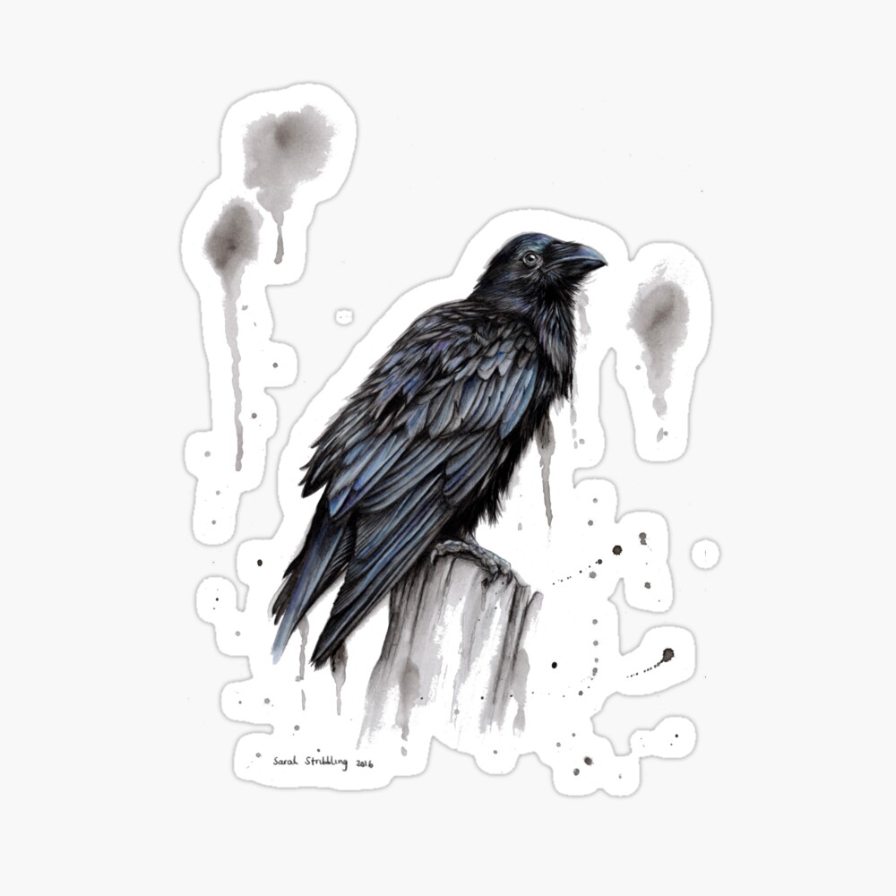 Raven Magnet 