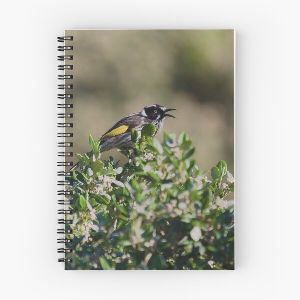 Item preview, Australian honeyeater ontop of a bush designed and sold by hendrikspix.