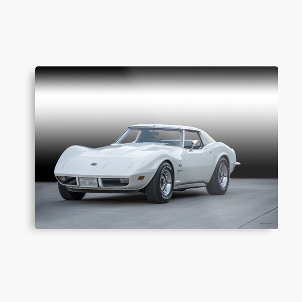 1973 Chevrolet Corvette Stingray Metal Print