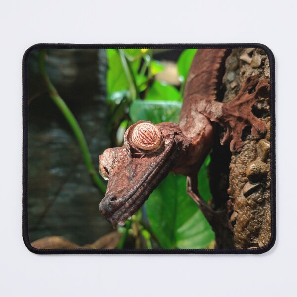 Item preview, Giant leaf-tailed gecko designed and sold by rootedrender.
