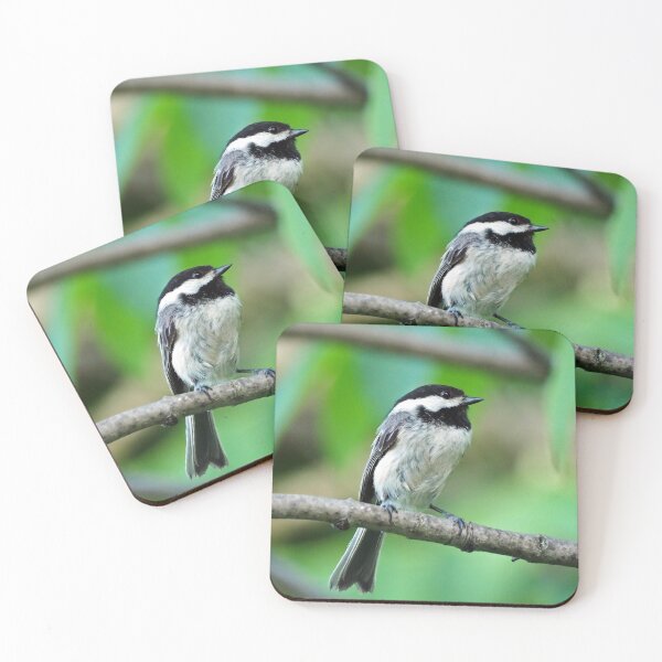 Item preview, Black-capped Chickadee Perched On A Branch designed and sold by BackyardBirder.